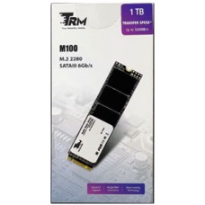 TRM M100 1TB M.2 SATA III 2280 SSD